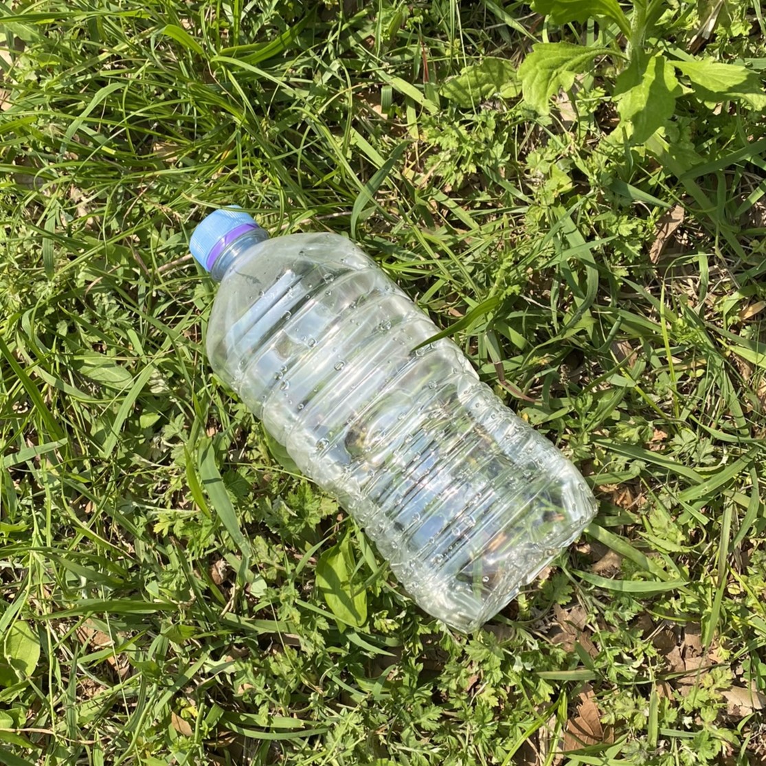 bottle